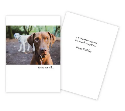 You're not old... - Funny Birthday Card