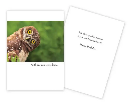 Funny Owl - Funny Birthday Card