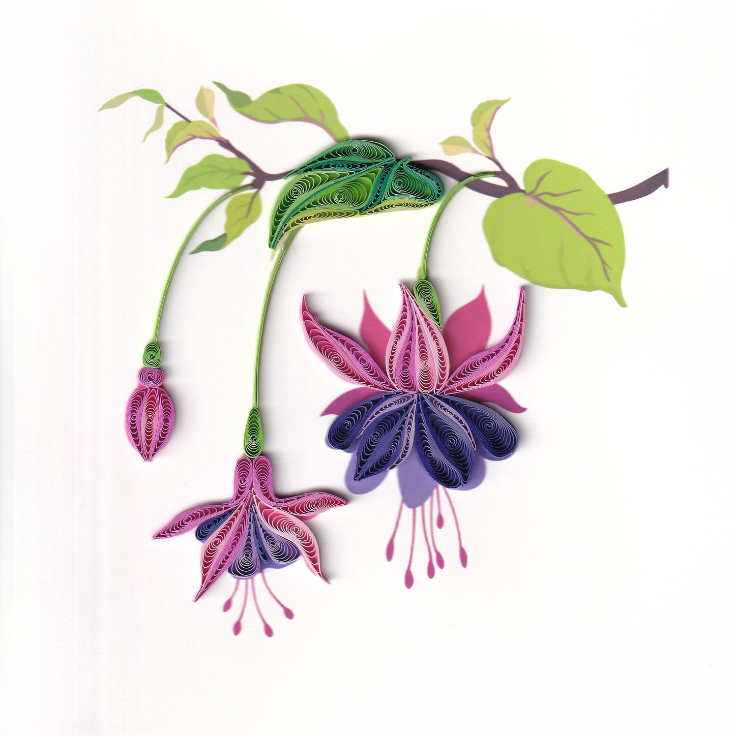 Fuchsia Quilling Card