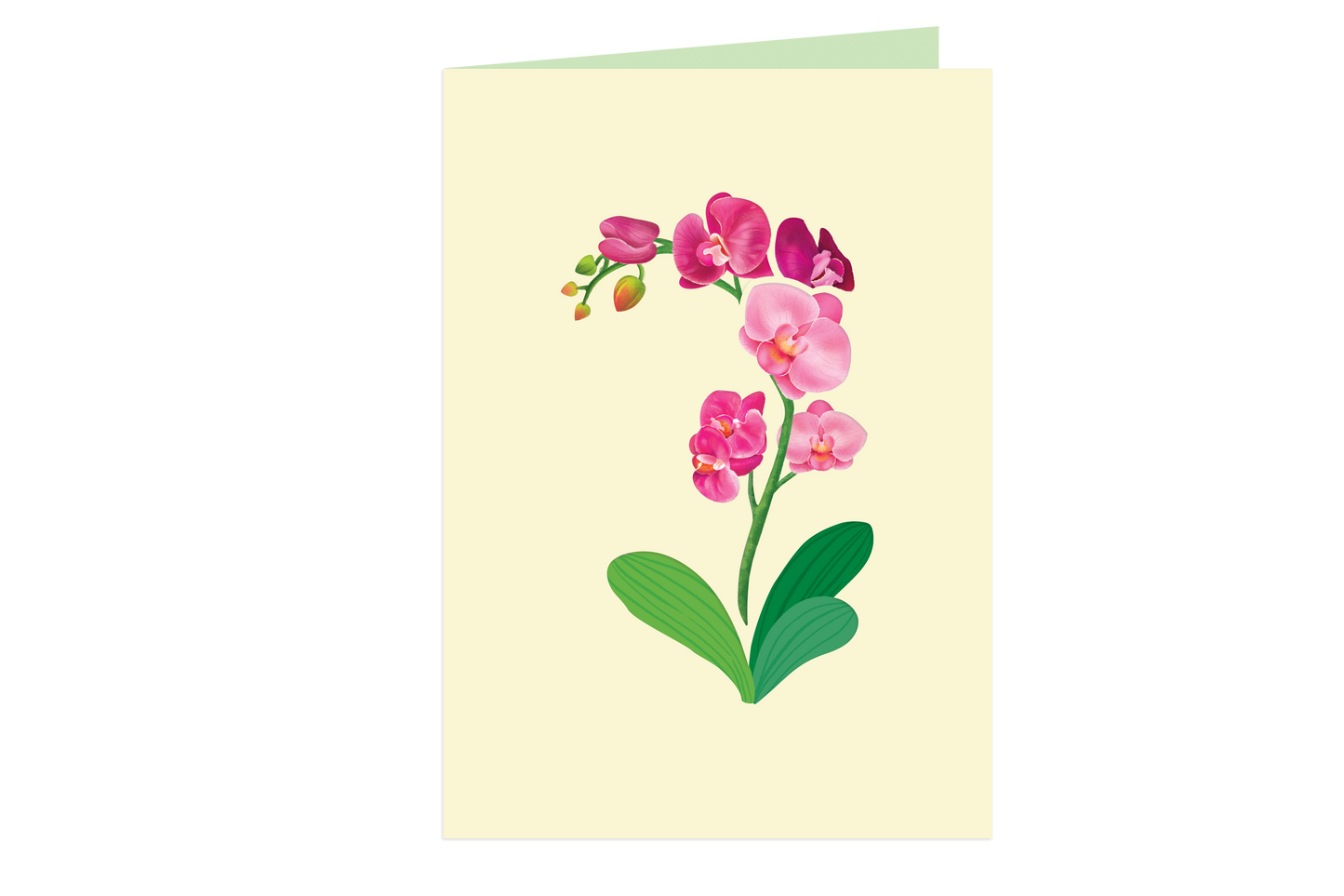 Orchids Pop-Up Card