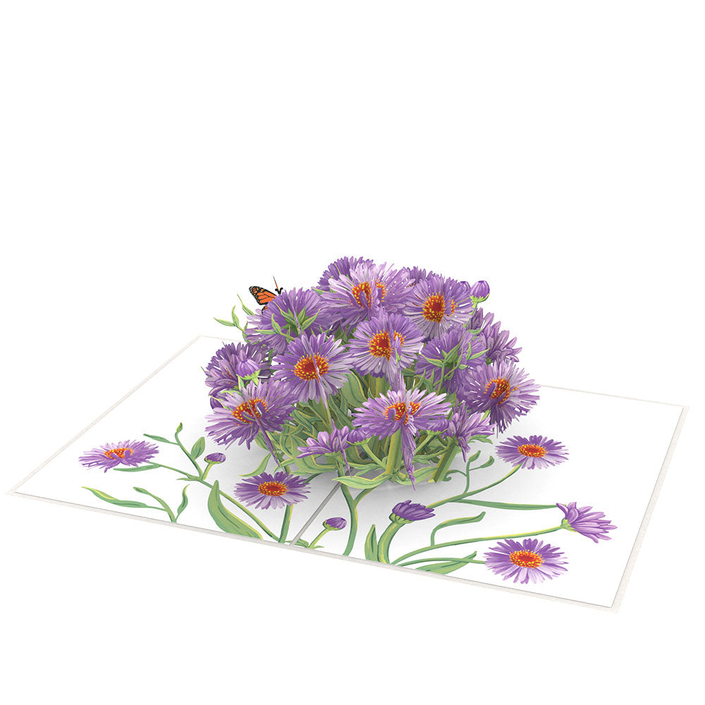 Asters Pop-Up Card