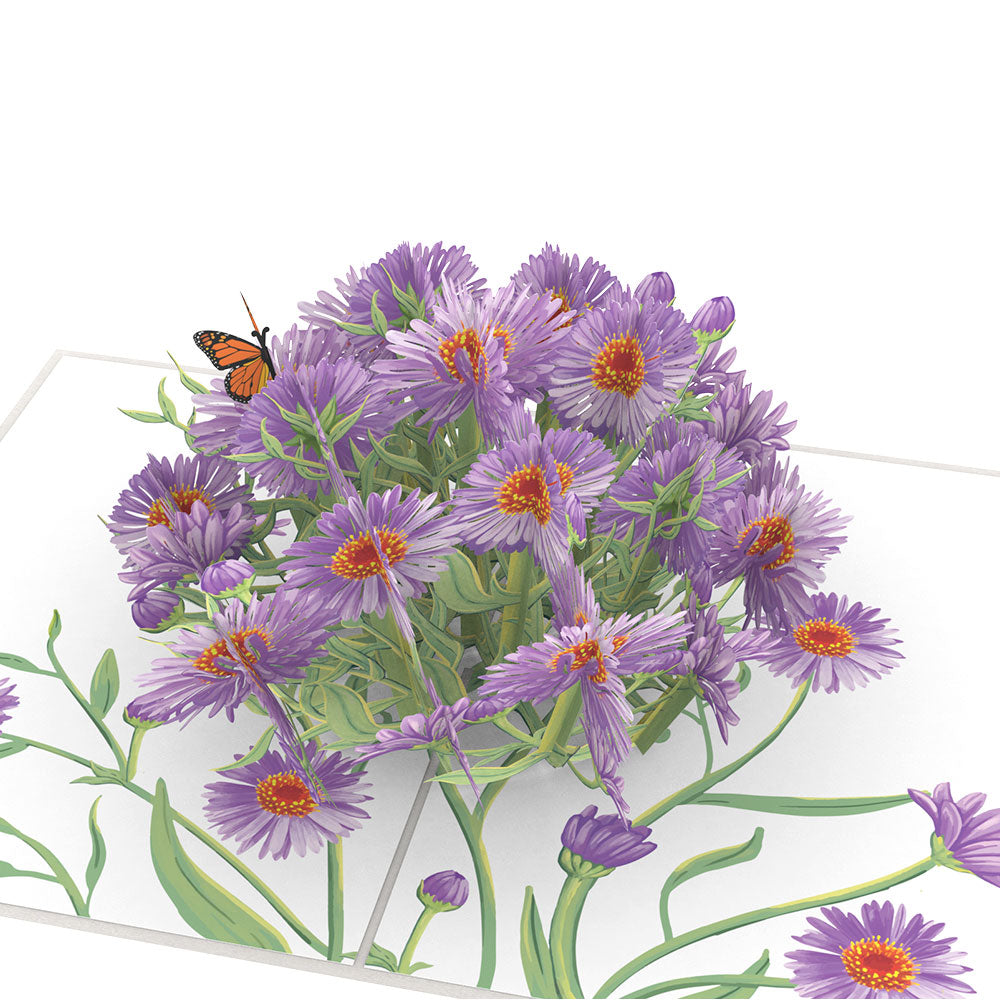 Asters Pop-Up Card