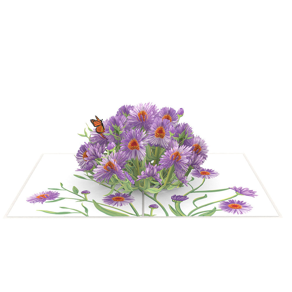 Asters Pop-Up Card