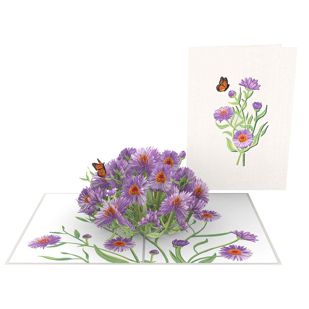 Asters Pop-Up Card