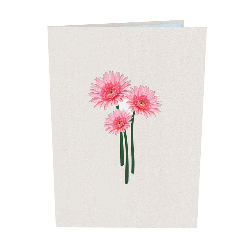 Pink Gerbera Daisy Pop-Up Card