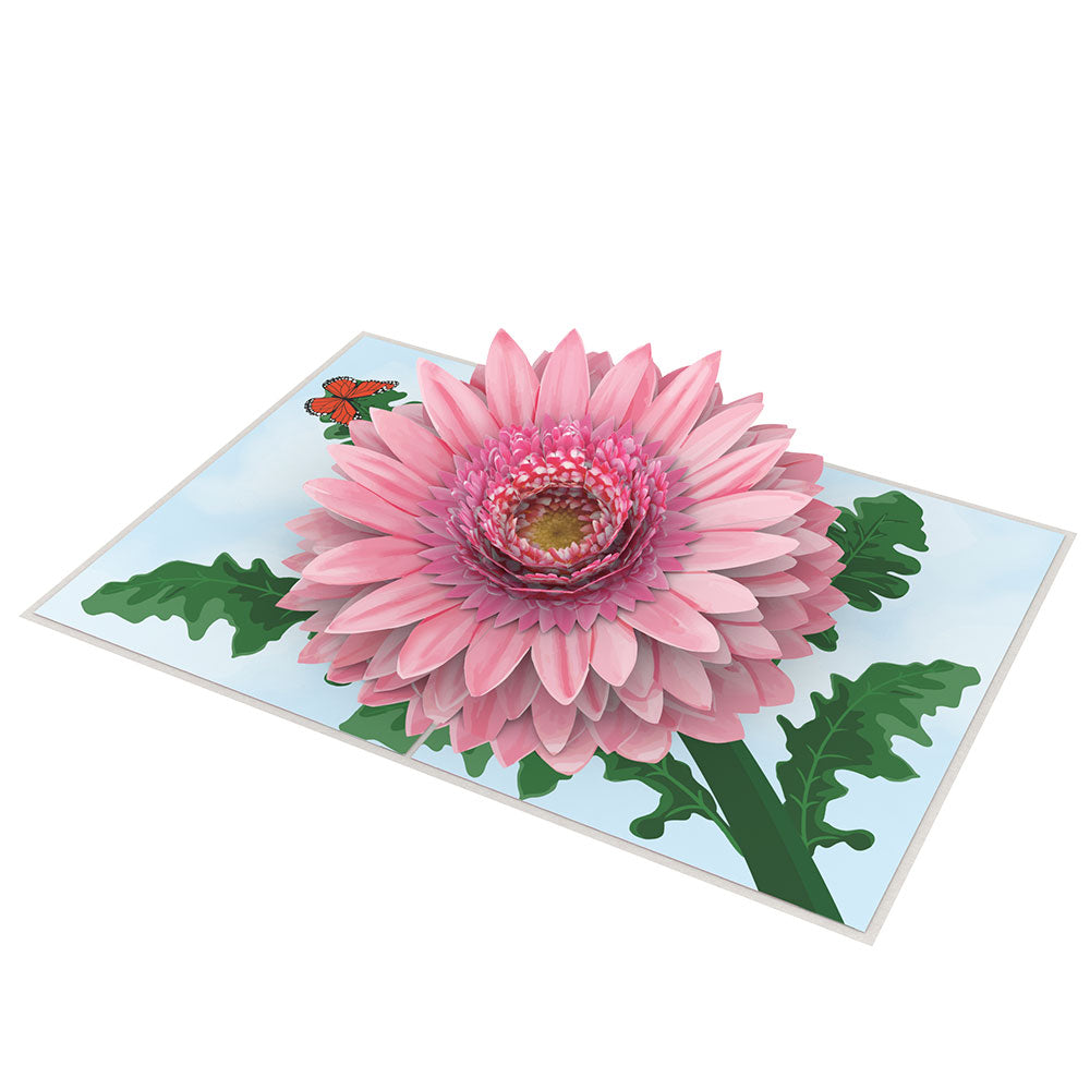 Pink Gerbera Daisy Pop-Up Card