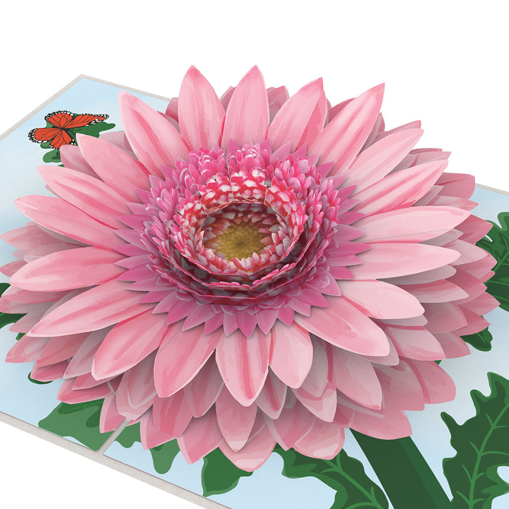 Pink Gerbera Daisy Pop-Up Card