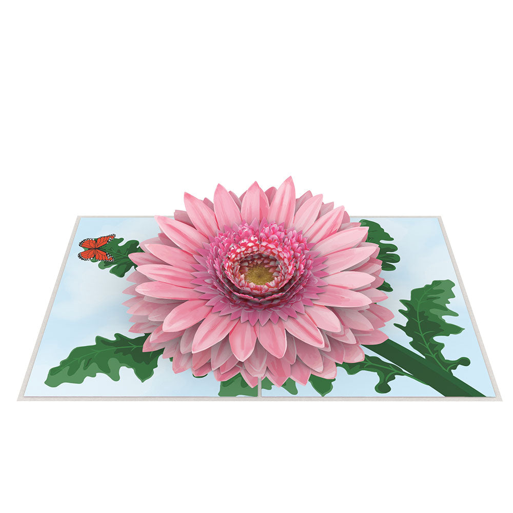 Pink Gerbera Daisy Pop-Up Card