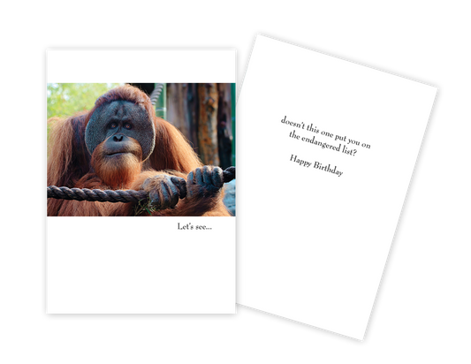 Orangutan - Funny Birthday Card