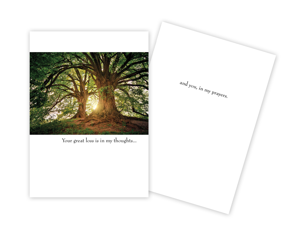 In my Prayers - Sympathy Card