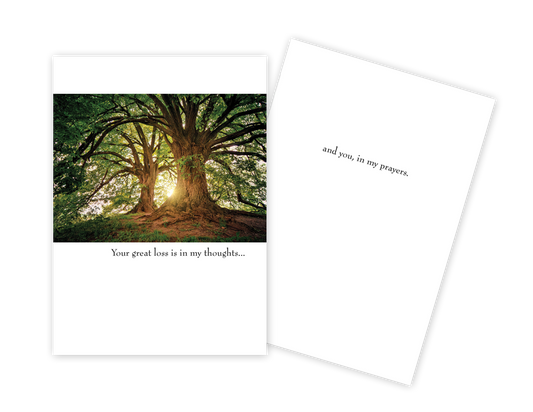 In my Prayers - Sympathy Card