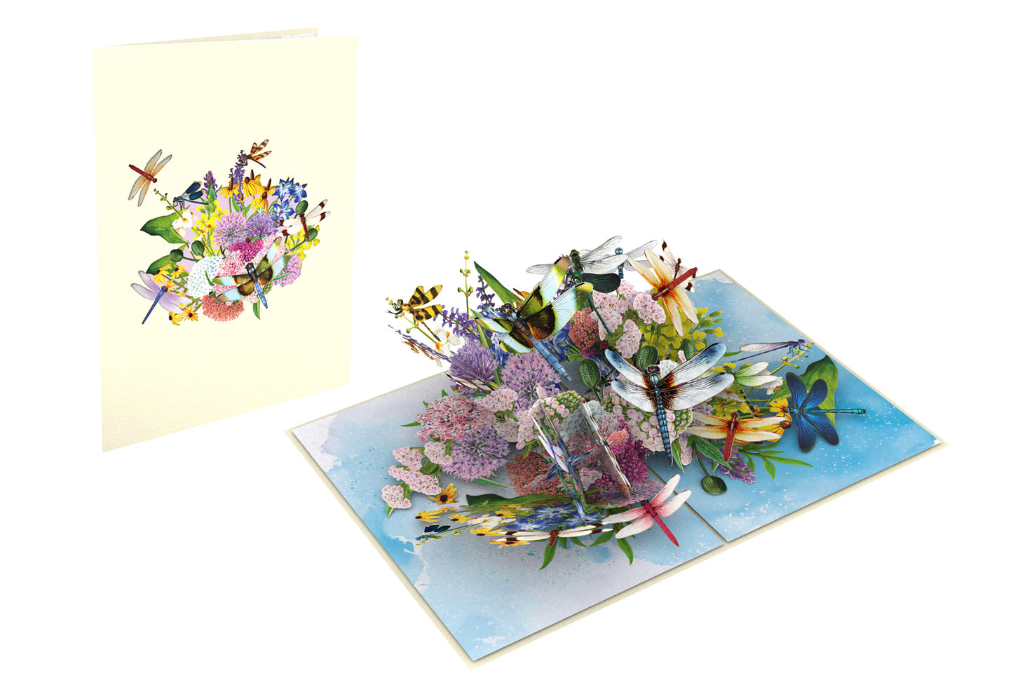 Dragonflies Pop-Up Card