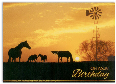Horses at Sunset Birthday Card