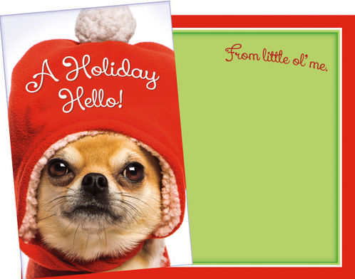 A Holiday Hello Card