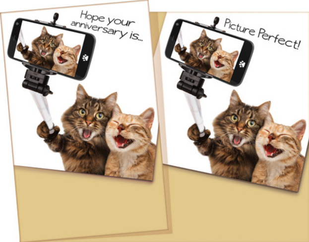 Cats Selfie - Funny Anniversary Card