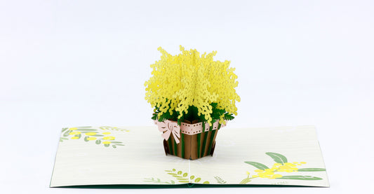 Mimosa in Pot Pop-Up Card