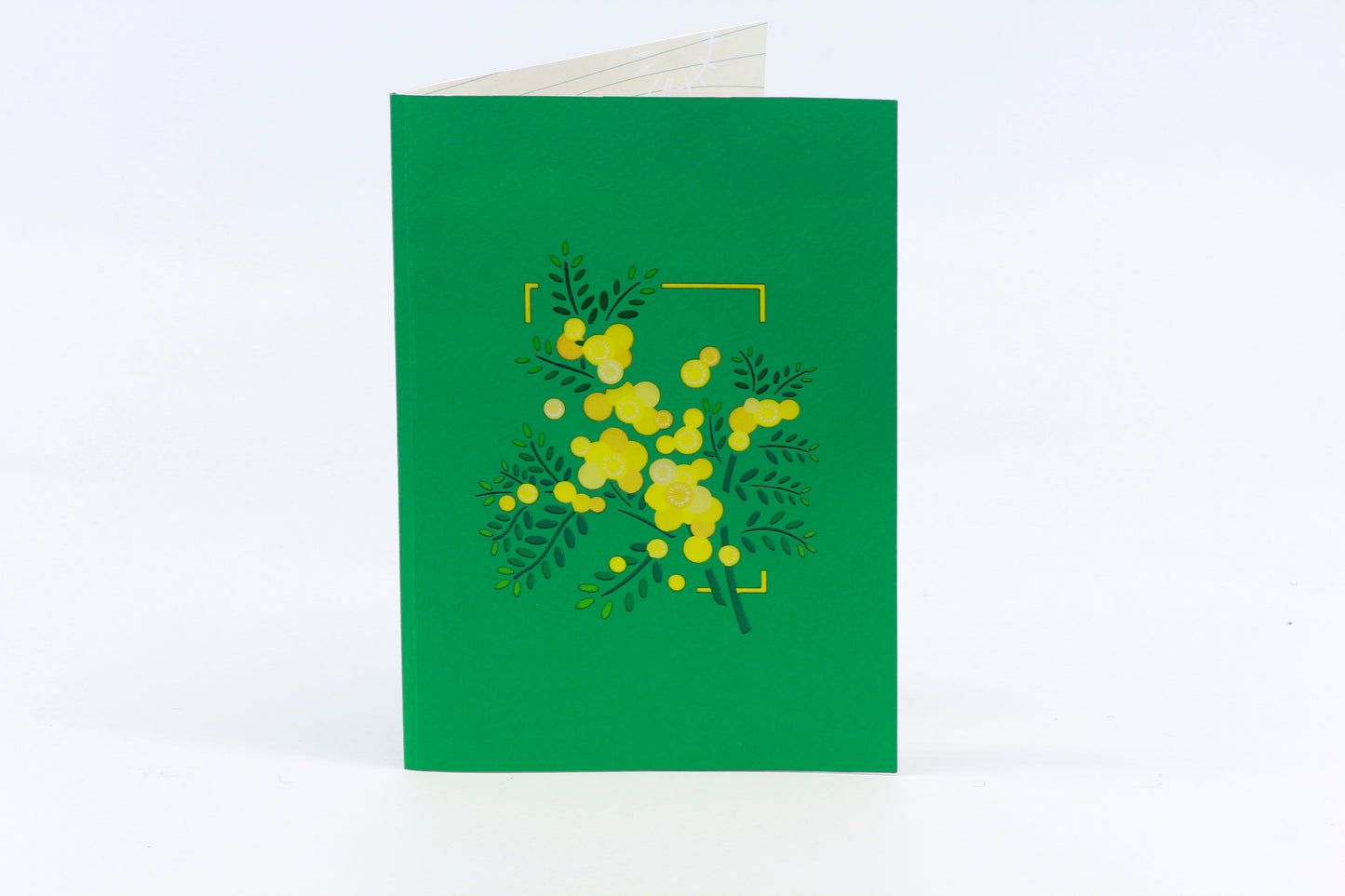 Mimosa in Pot Pop-Up Card