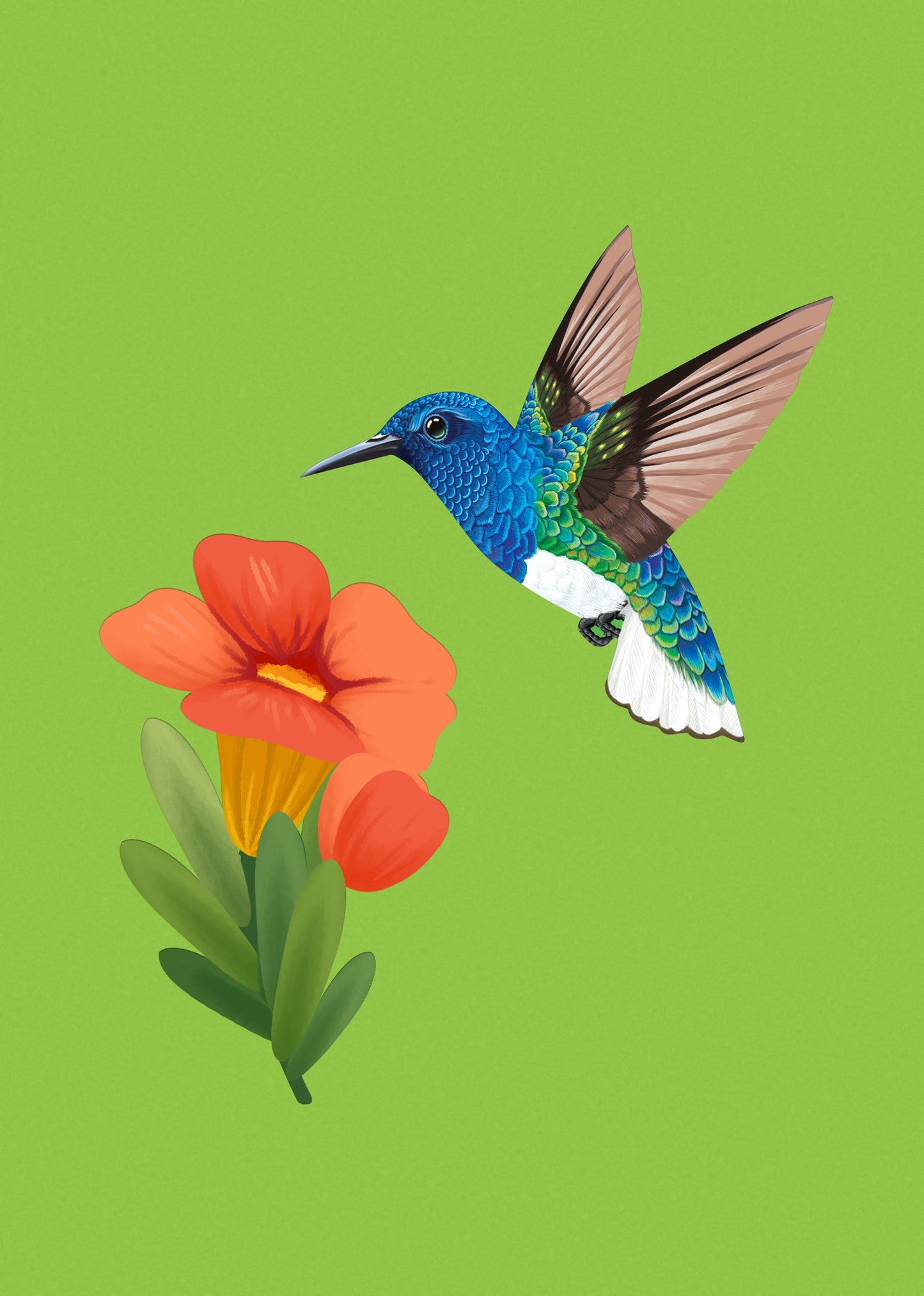 Hummingbird Pop-Up Card