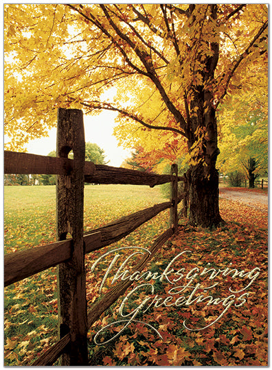 Thanksgiving Greeings Card