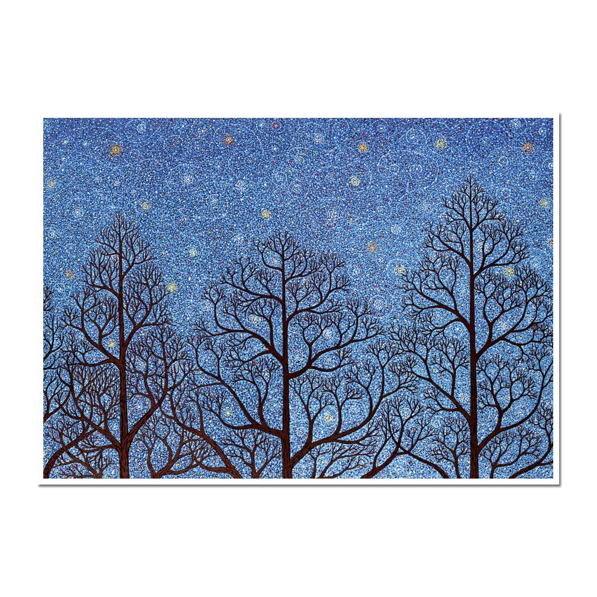 Night Stars & Trees Holiday Card