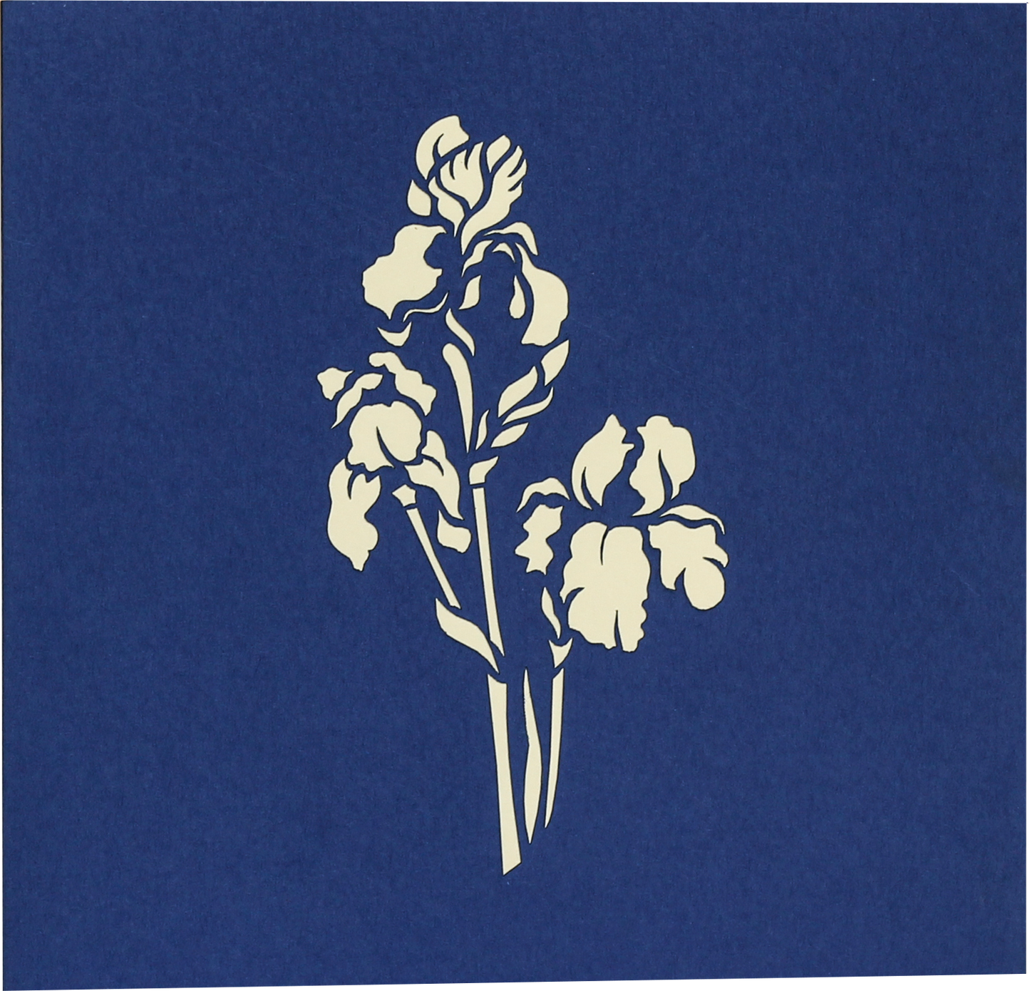 Blue Iris Bouquet Pop-Up Card