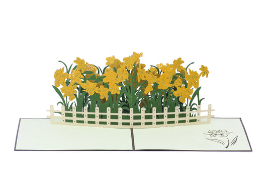 Daffodils Pop-Up Card