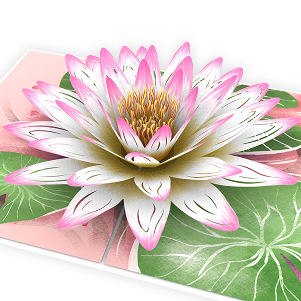 Water Lily Pop-Up Card