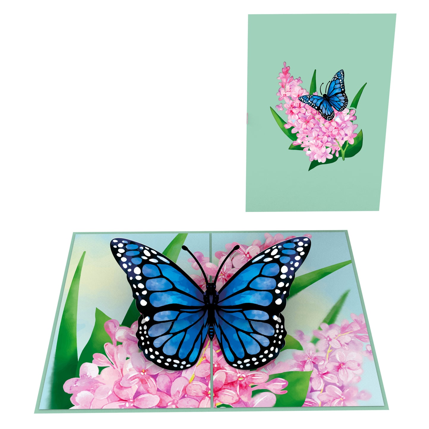 Blue Butterfly Pop-Up Card