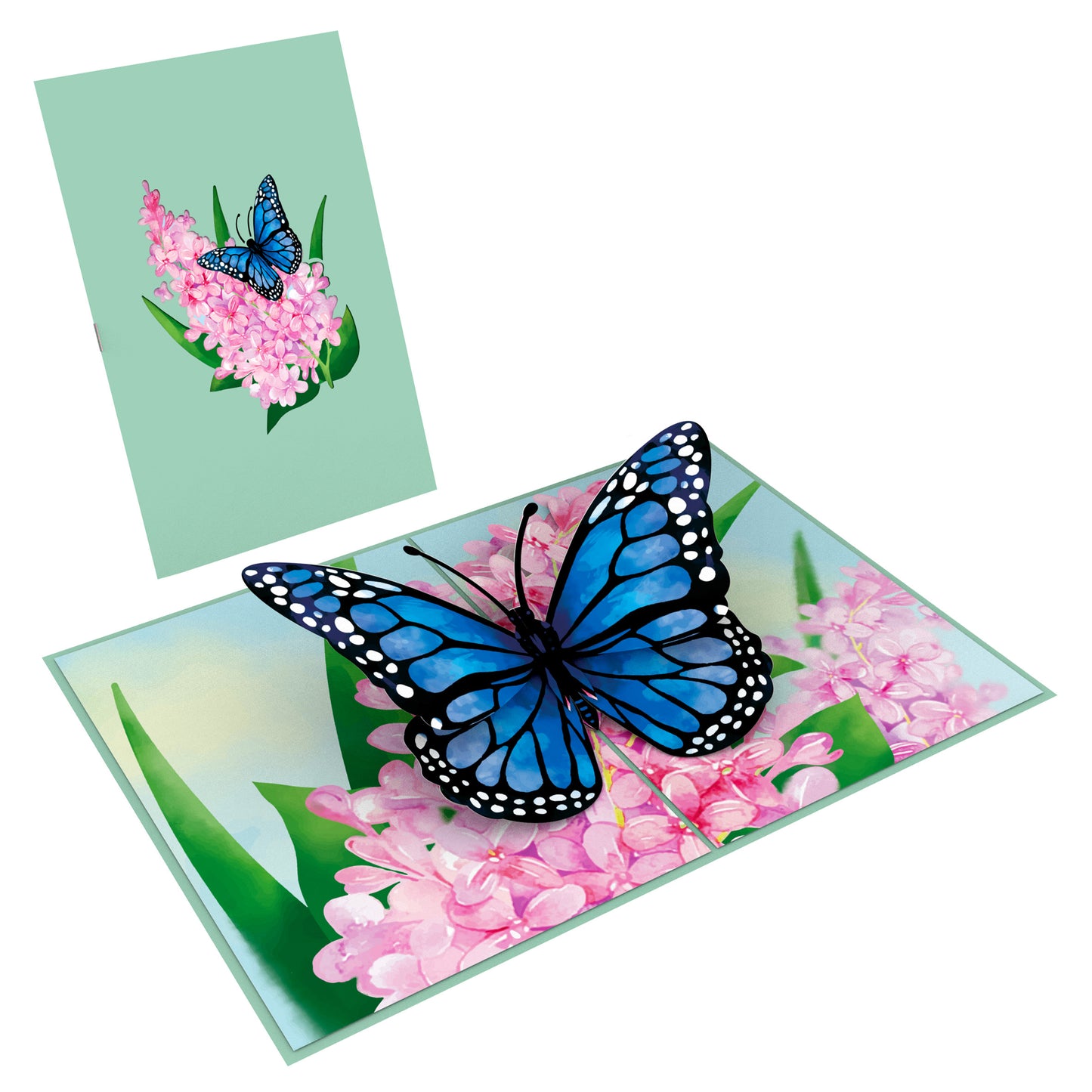Blue Butterfly Pop-Up Card