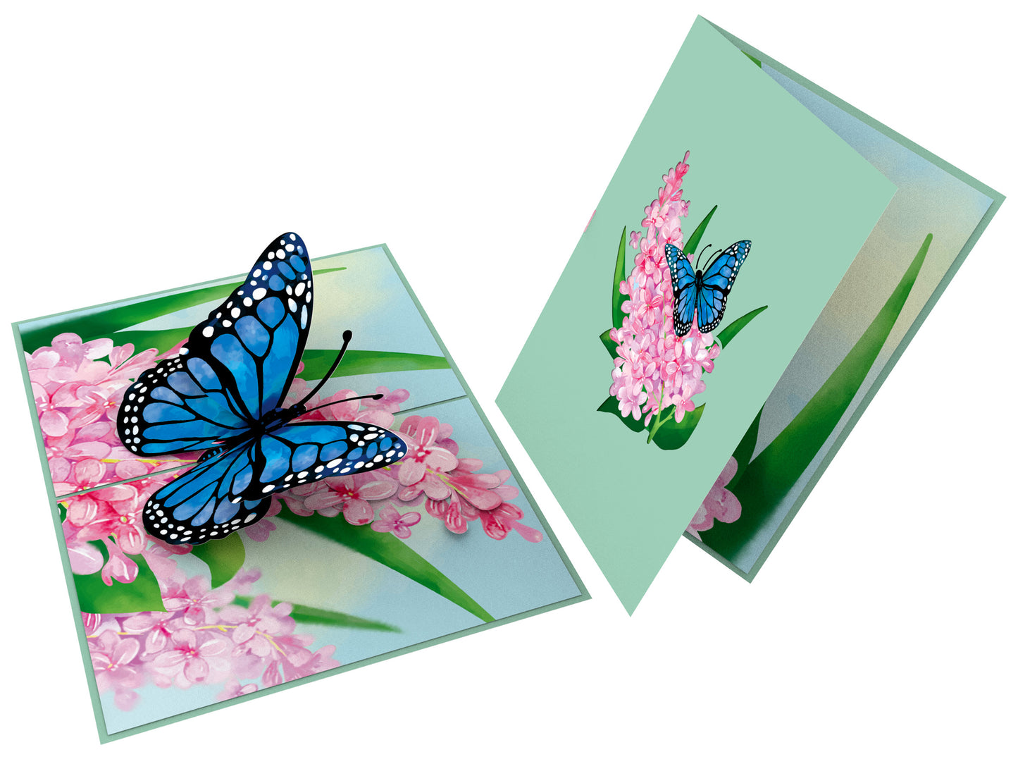 Blue Butterfly Pop-Up Card