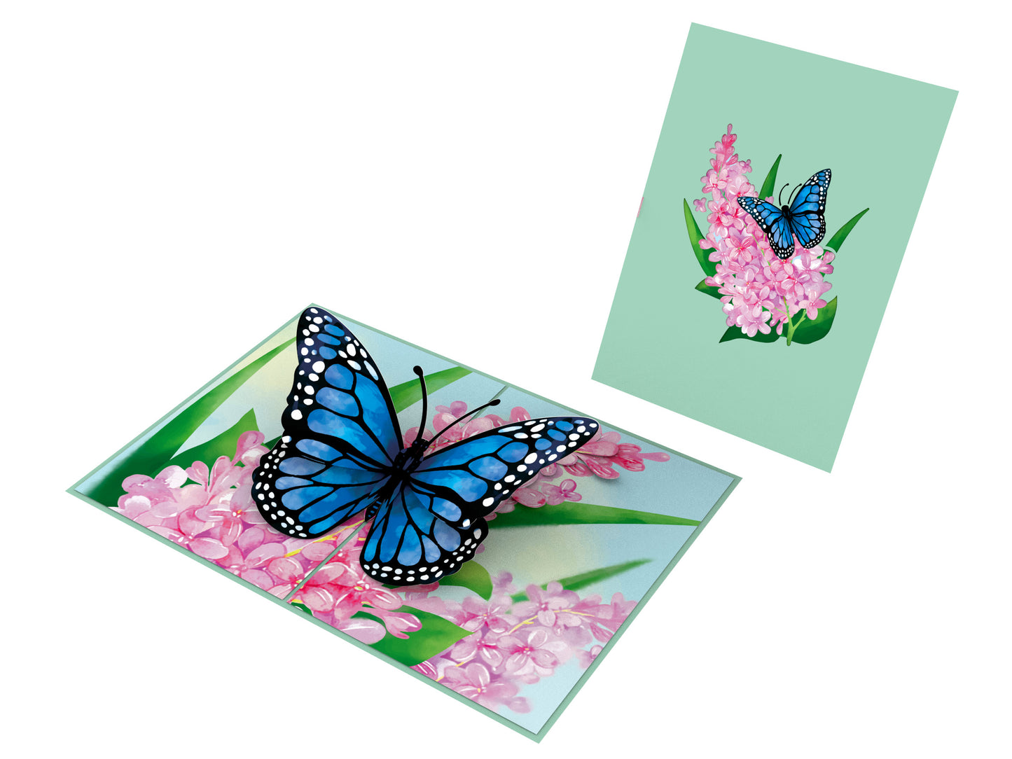 Blue Butterfly Pop-Up Card