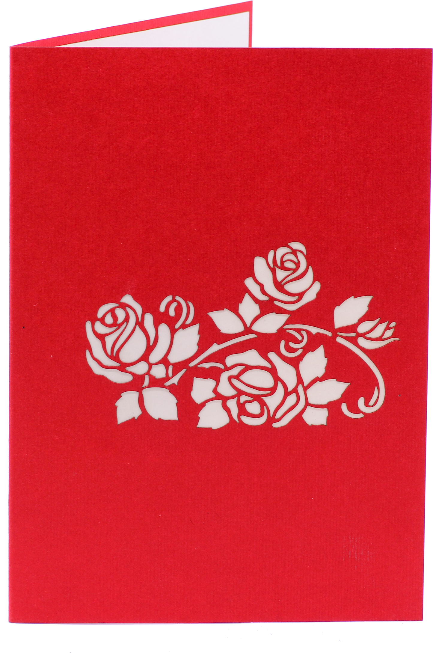 Red Rose Pop-Up Card