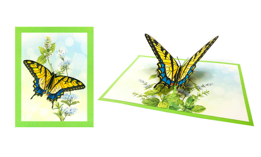 Swallowtail Butterfly Quilling Pop-Up Card